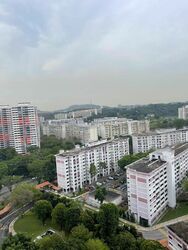 Blk 356 Clementi Avenue 2 (Clementi), HDB 5 Rooms #561142141